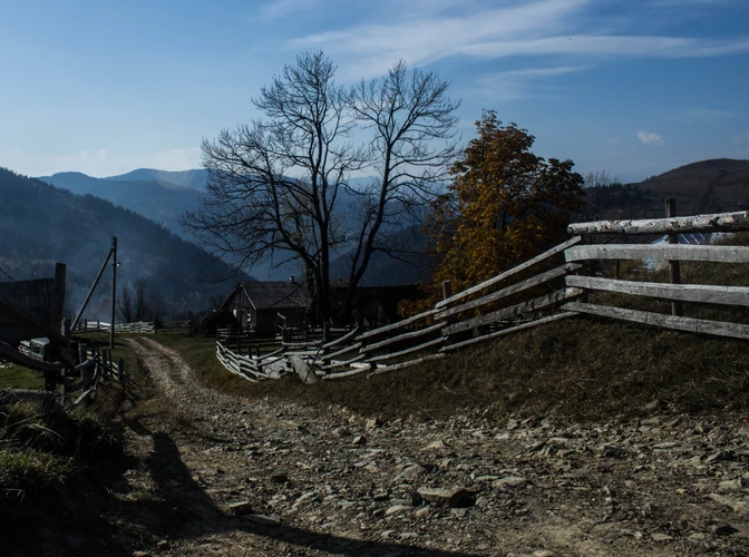 沙溢胡可的孩子（胡可带儿子安吉现身机场）