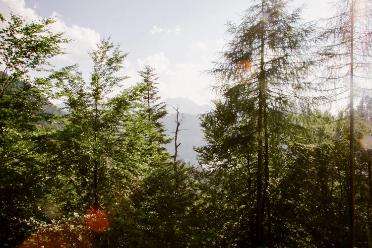 qq空间伤感图片（送给寂寞的自已的伤感说说配图）