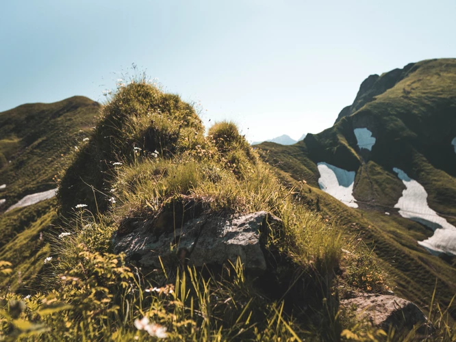 若何知道有无财库？若何开财库、补财库？