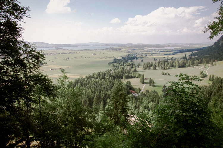 属虎的最旺年和旺月 2026年是旺年