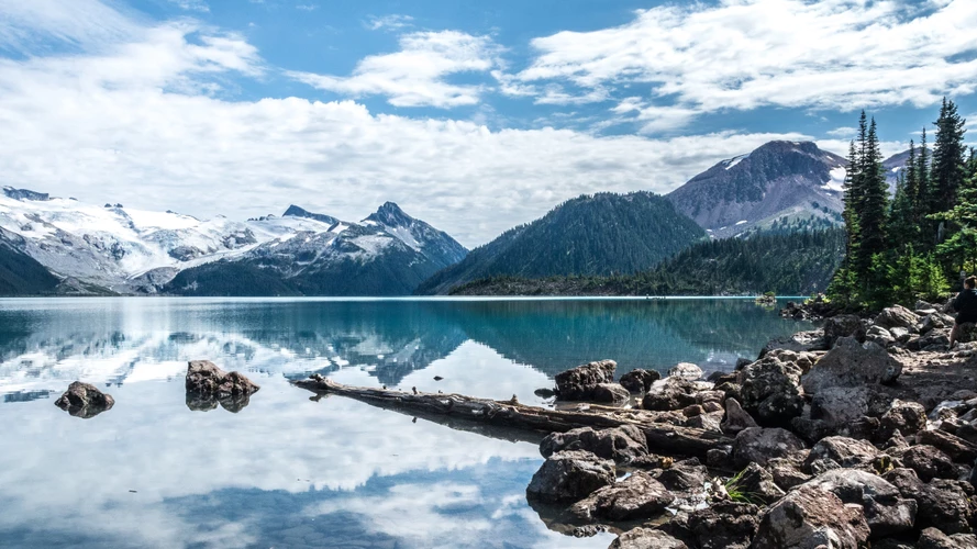 煎豆腐怎么不粘锅 动锅不动铲还要火候