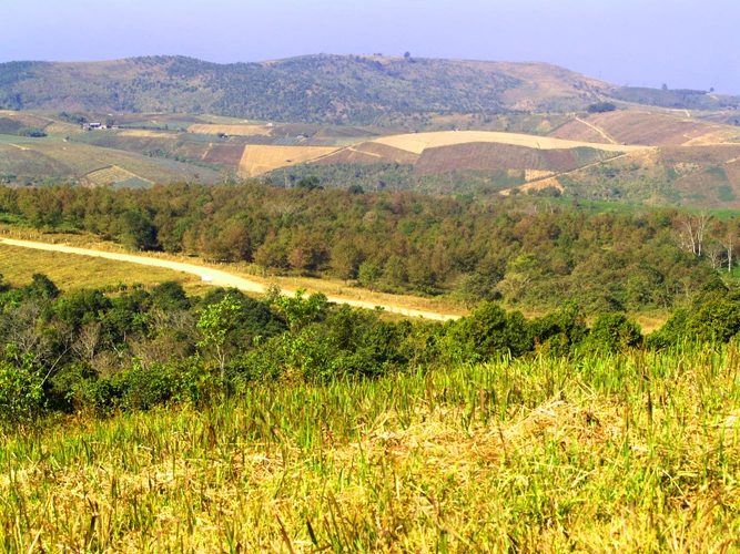 你也是温暖逆光而来（这种温暖至极的句子）