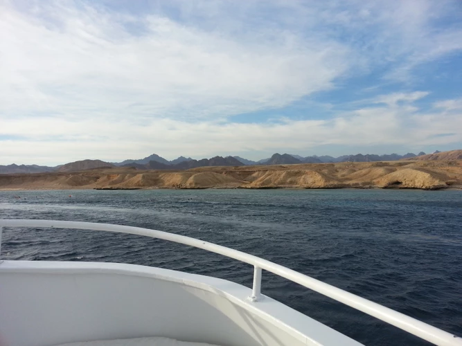 几回梦见母亲受难 我找道长实时超度母亲