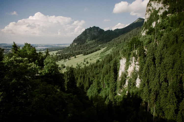 处女座的爱情盲点 想法纯粹真心换绝情