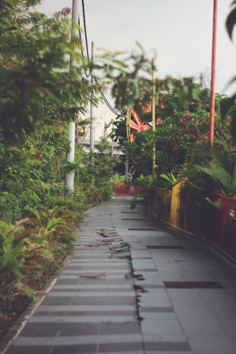 斩桃花法事大全-伉俪八字配对合不合适 配对口诀